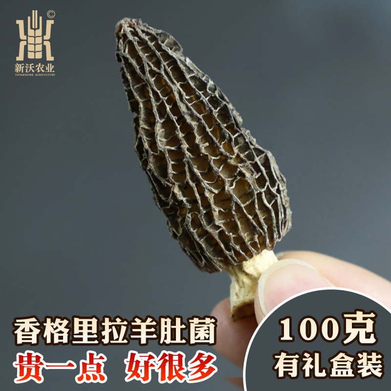 羊肚菌干货野生云南特级野生菌羊肚菇羊蘑菇100克包邮非新鲜500g - 新沃农业